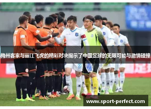 梅州客家与丽江飞虎的精彩对决揭示了中国足球的无限可能与激情碰撞